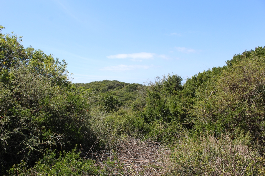 0 Bedroom Property for Sale in Begha Eastern Cape